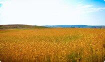 OurEnvironment